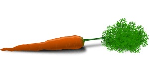 carrot-33625_1280